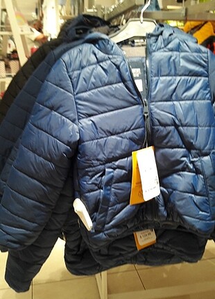 Mavi Mont