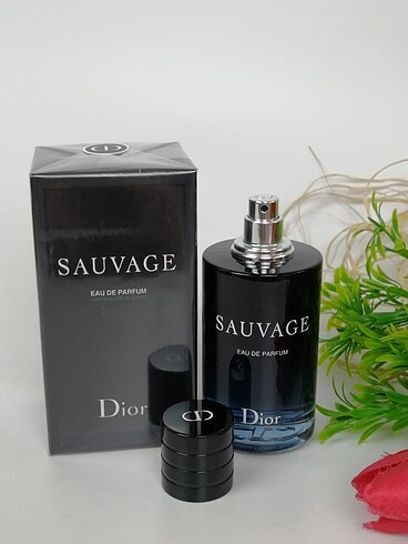 Dior sauvage