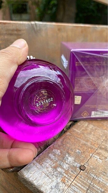 Beden Renk Versace dylan purple
