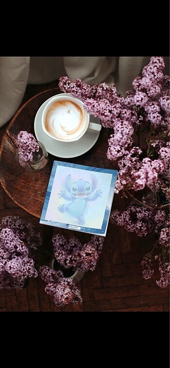 Stitch Not Kâğıtları