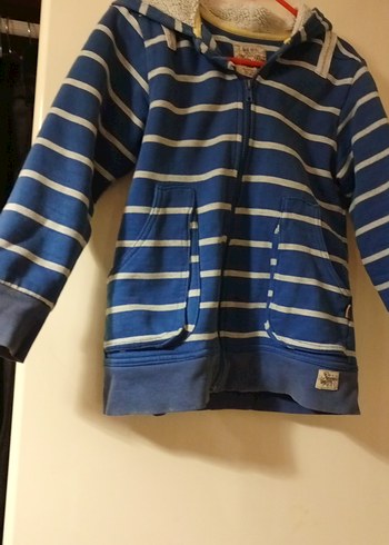 Mavi Çizgili Fermuarlı Erkek Çocuk Ceket - Görsel 4