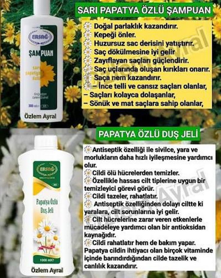Ersağ Sarı Papatya Özlü Şampuan 300 ml - Görsel 2