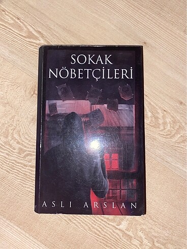 Sokak nöbetçileri aslı arslan