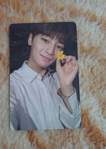 I.n oddinary pc straykids