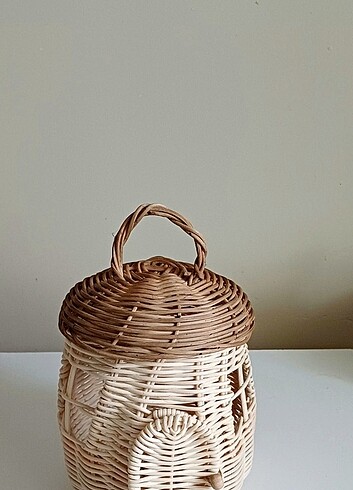 Rattan ev