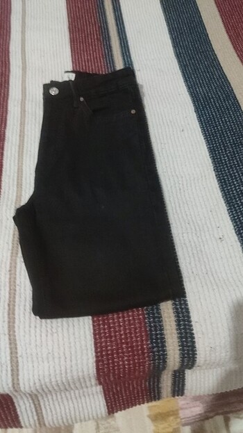 Kot jean