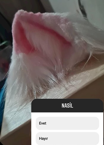 Beyaz Peluş Kedi Aksesuarı Kulaklar vs - Görsel 3