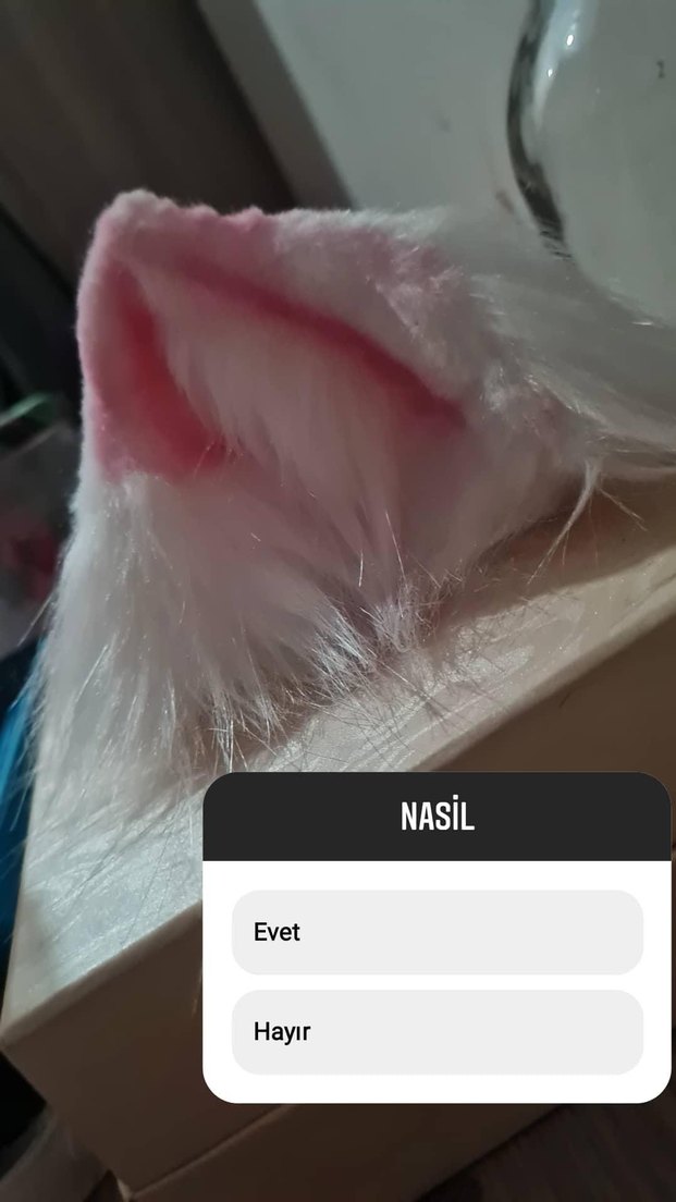 Beyaz Peluş Kedi Aksesuarı Kulaklar vs - Görsel 3