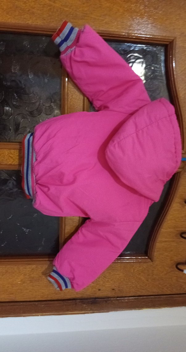 Kız Çocuk Pembe Kapüşonlu Fermuarlı mont - Görsel 3