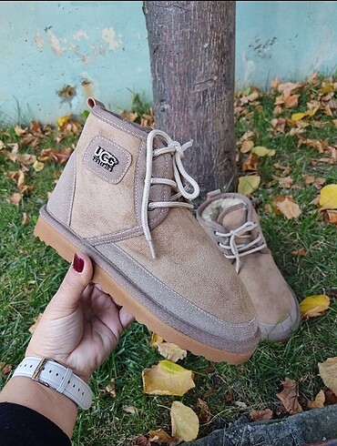 Bayan ugg