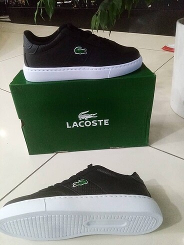 Lacoste