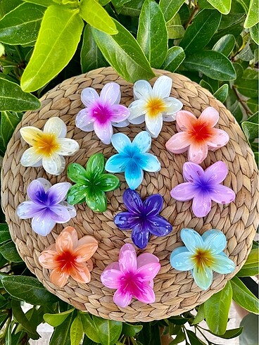 Aloha toka