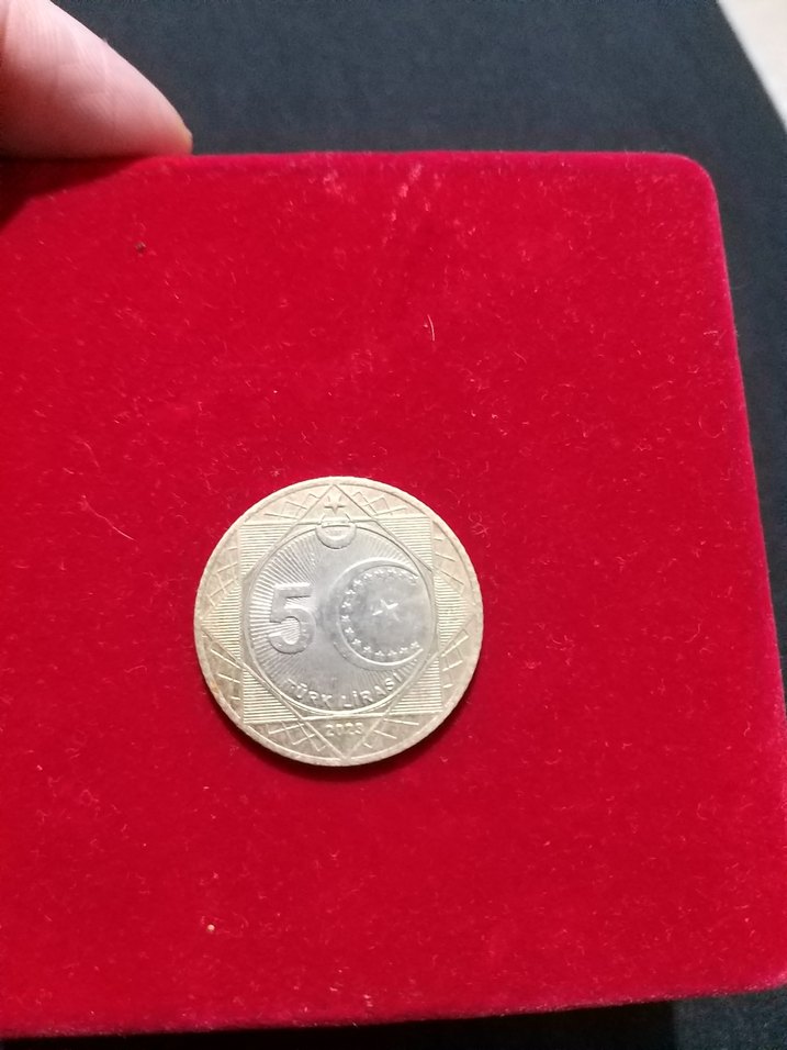 5 tl yüzüncü yıl parası - Görsel 2