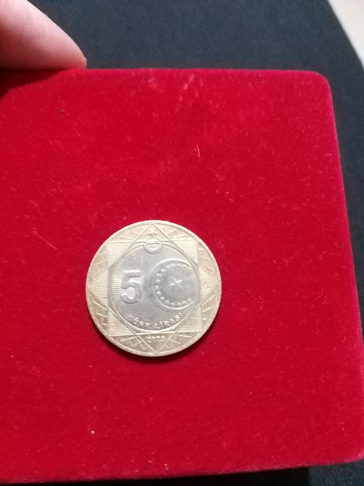 5 tl yüzüncü yıl parası - Görsel 3