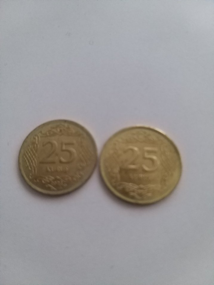 Altın Renkli 2 adet 25 kuruş 2023 - Görsel 3