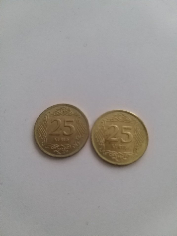 Altın Renkli 2 adet 25 kuruş 2023 - Görsel 4