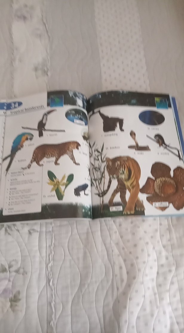 Longman Çocuklar için Resimli Sözlük - Görsel 3