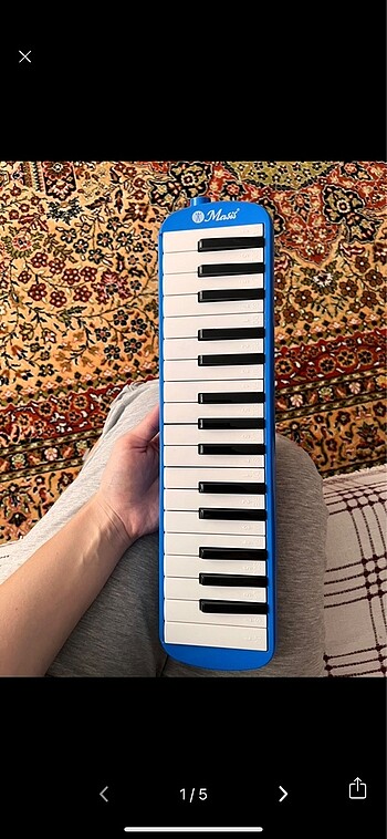 Beden Renk Melodika