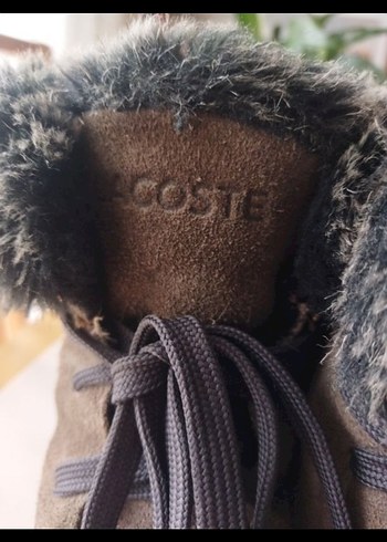 Lacoste Kürklü Süet Kadın Bot - Görsel 3