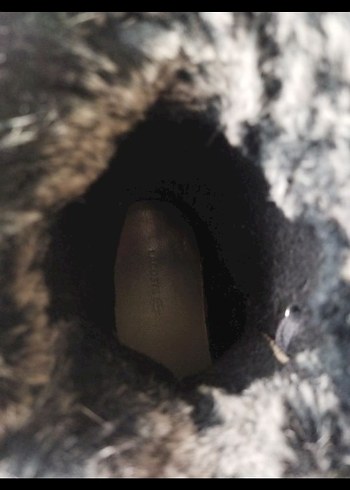 Lacoste Kürklü Süet Kadın Bot - Görsel 8