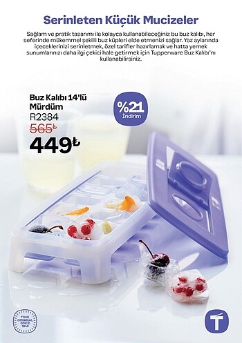 Tupperware TUPPERWARE EKO ŞİŞE 500 ML MAVİ VİDA KAPAK LARCİVERT PIT KAPAK 