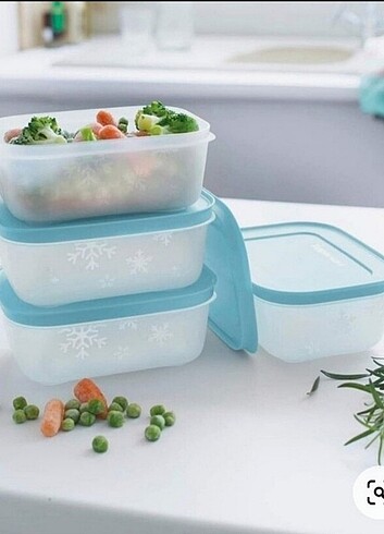 TUPPERWARE ALASKA 450 ML 4 ADET GÖRSELDEKİ RENK 