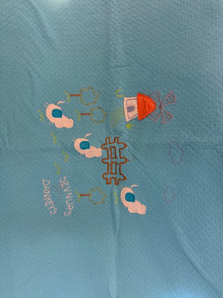 Mavi Baskılı Çocuk Battaniyesi - Görsel 2