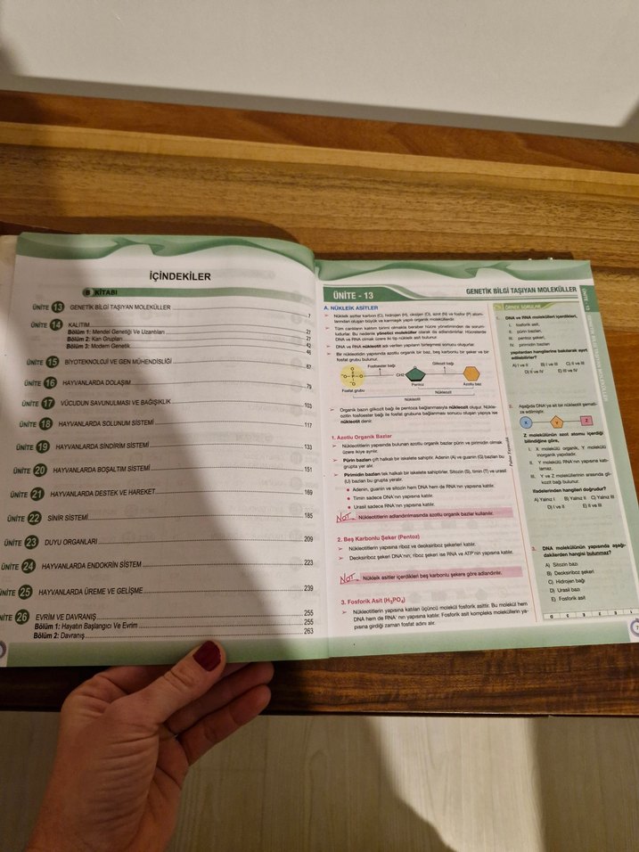 Biyoloji Konu Anlatımlı Kitap - Bilgehan Peri - Görsel 5