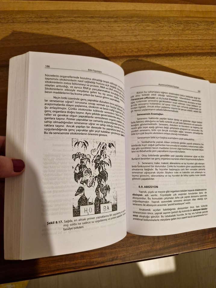 Bitki Fizyolojisi - Prof. Dr. İsmail Kocacalışkan - Görsel 2