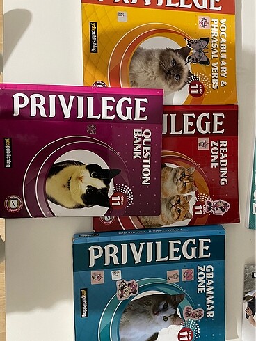 PRİVİLAGE 11