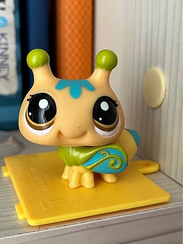 miniş #Lps #Büyük boy