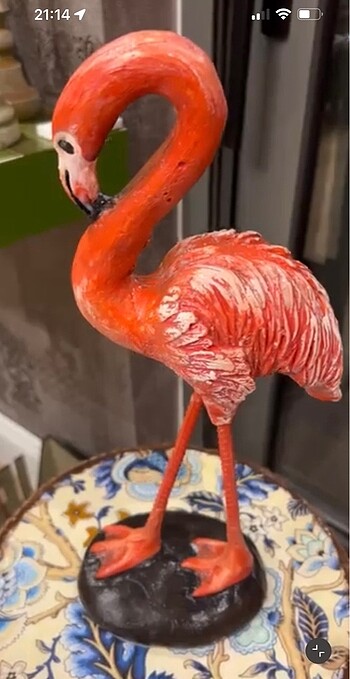 Flamingo