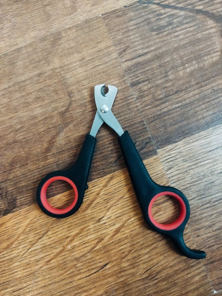 Petshop ürünleri - Görsel 2