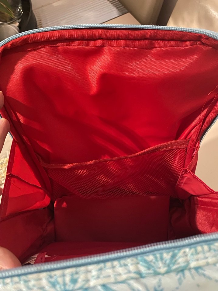 Mavi Frozen Temalı Çocuk Sırt Çantası - Görsel 5