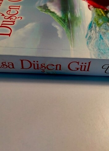Beden Renk Okyanusa düşen gül