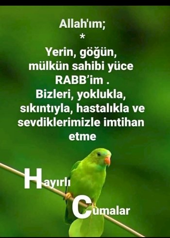 Siyah Parlak Pileli Uzun Etek - Görsel 3