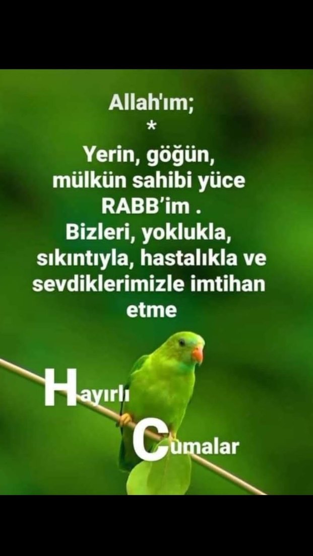 Siyah Parlak Pileli Uzun Etek - Görsel 3