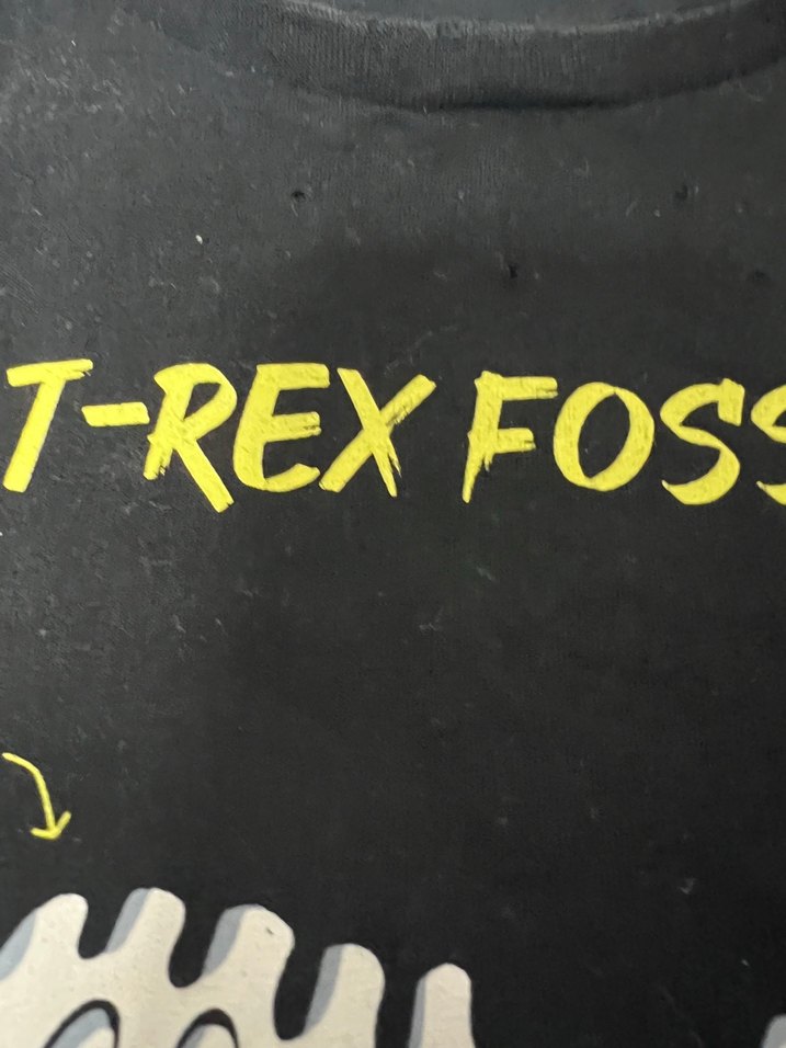 Erkek Çocuk Mavi Kolsuz Dinozor Baskılı Tişört - Görsel 2