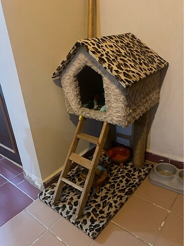 kedi evi leoparlı