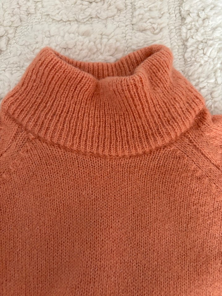 Somon kazak - Görsel 5