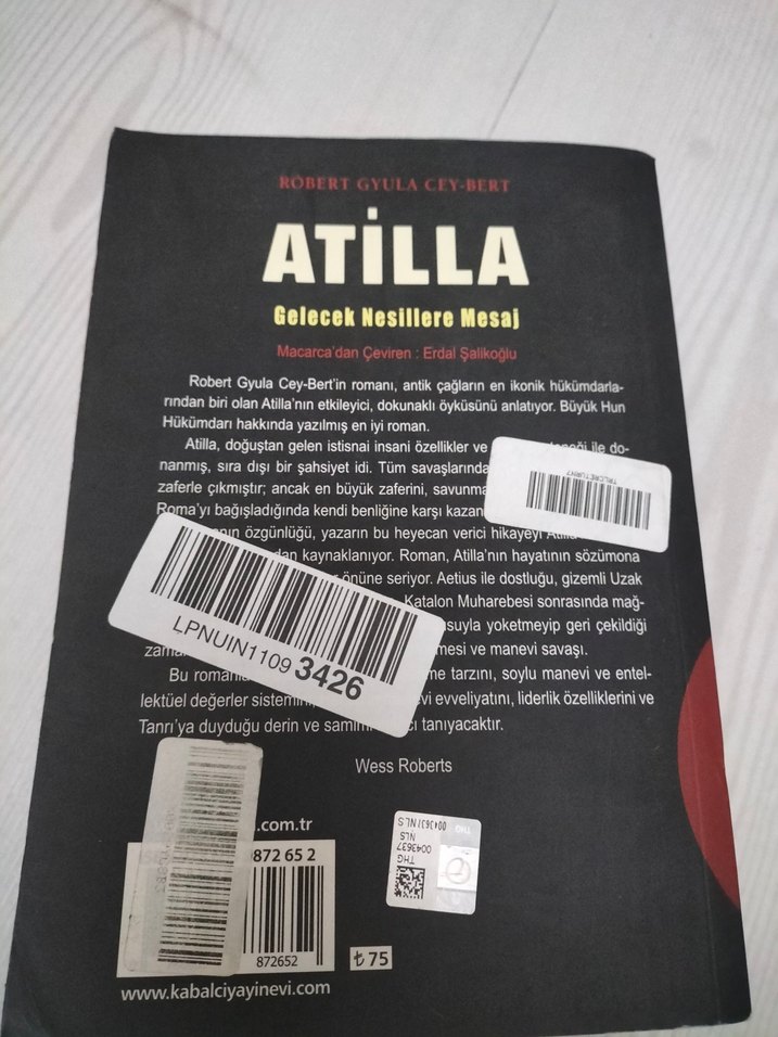 Atilla - Gelecek Nesillere Mesaj Romanı - Görsel 2