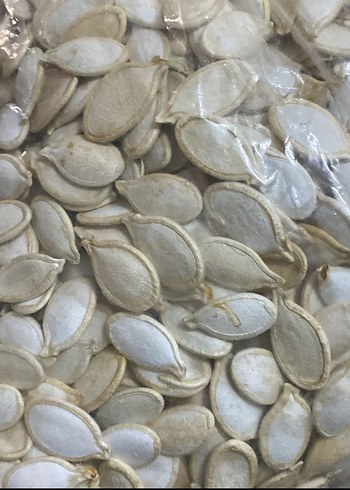 Beyaz Kabak Çekirdeği - Görsel 2