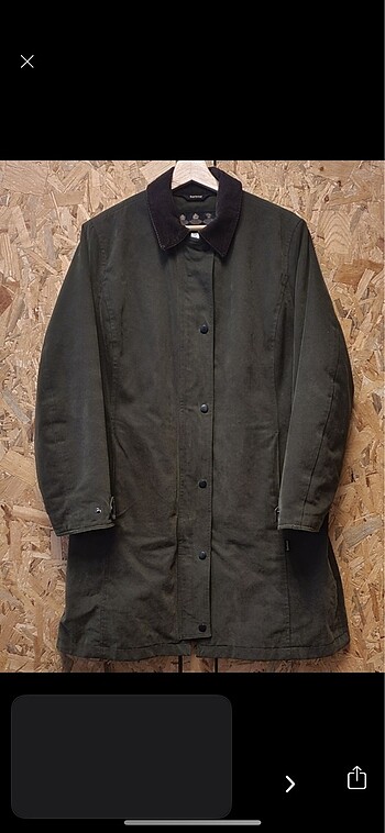 Barbour mont