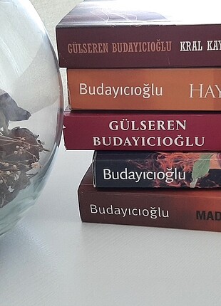 Gülseren Budayıcıoğlu kitapları