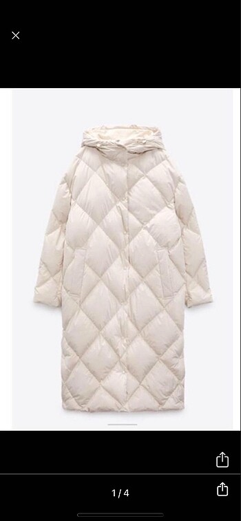 Zara mont