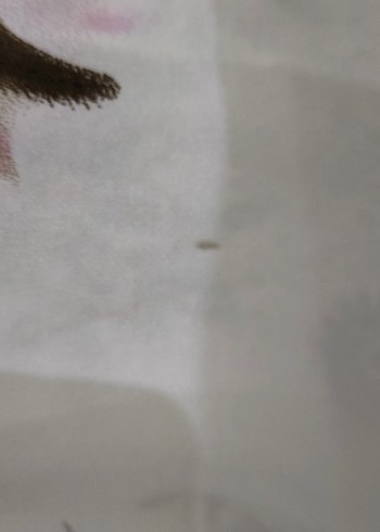 Armine Sura İpek Eşarp - Görsel 4