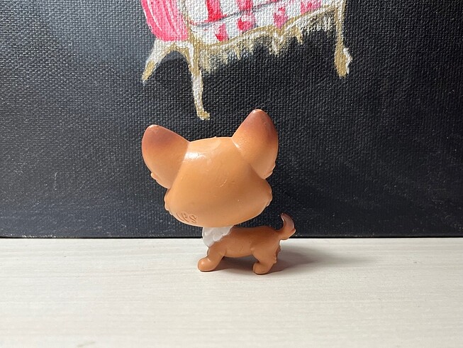 LPS köpek miniş