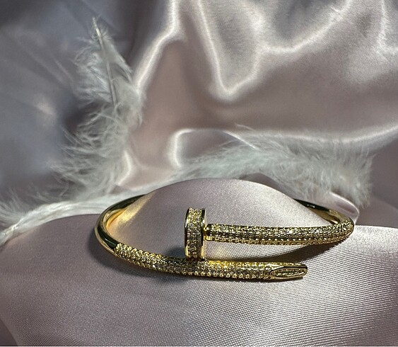 Cartier Çivi model cartier
