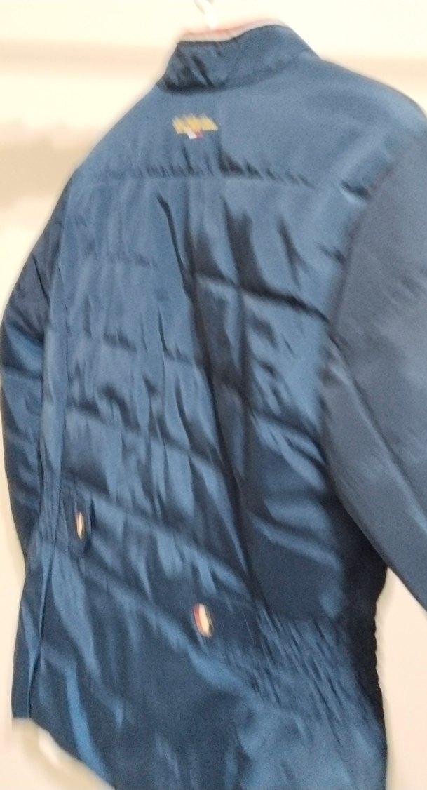 Nakışlı Mavi Kadın Kışlık Mont - Görsel 5