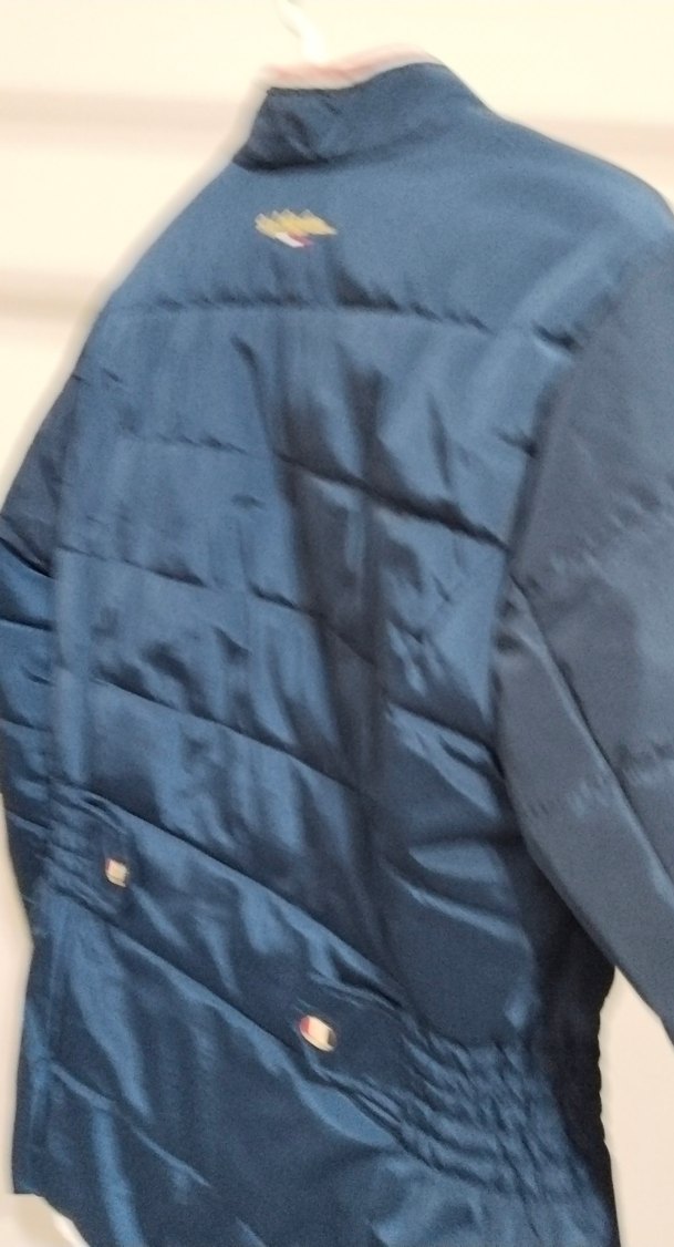 Nakışlı Mavi Kadın Kışlık Mont - Görsel 4